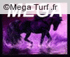 Mega Turf -